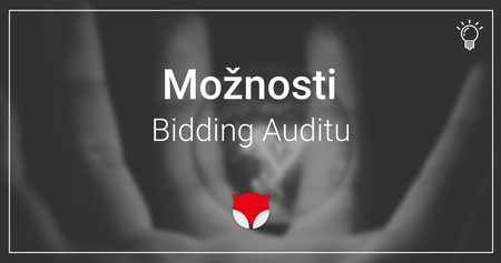 Bidding Audit