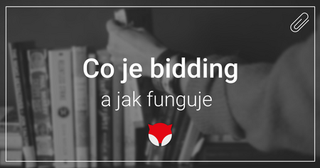 Co je bidding a jak funguje