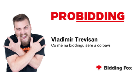 PROBIDDING 2019 - záznam přednášky Vládi Trevisana