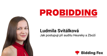 PROBIDDING 2019 - záznam přednášky Lídy Svitálkové